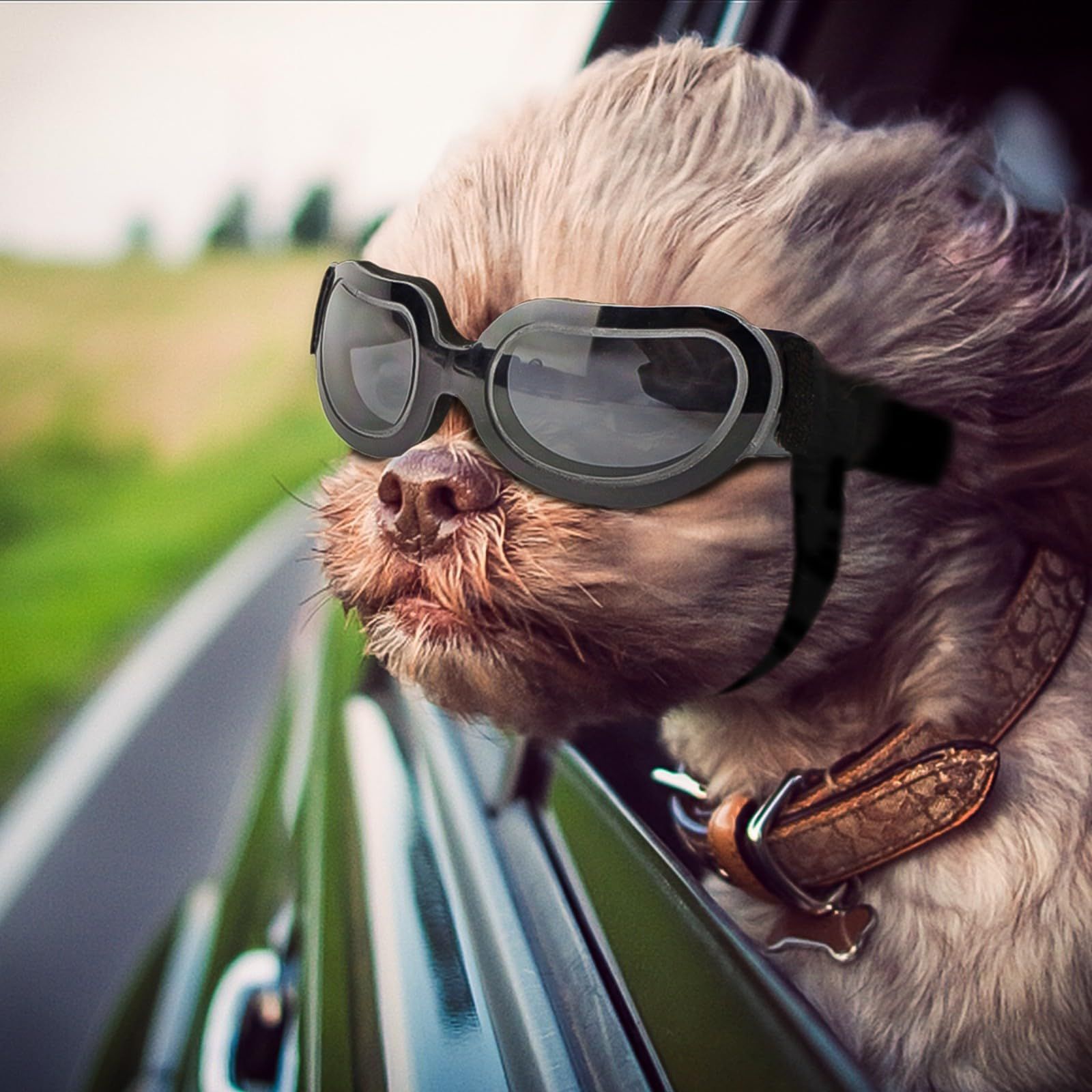 Dog Goggles Small Breed UV Lens Doggy Sunglasses for Small Dogs Eyes Protection Outdoor Antifogging Snowproof Bright Black - Image 2